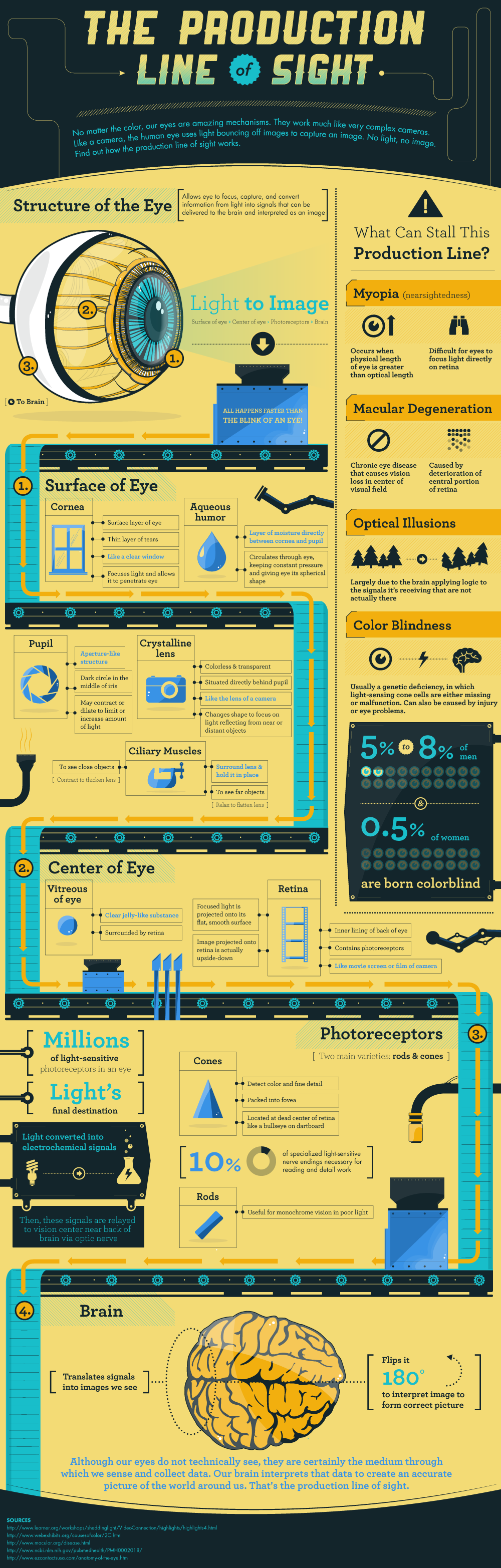 -production-line-of-site-infographic