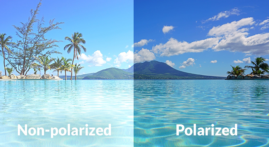 Why Are Polarized Lenses Important | Zenni Optical Canada Blog