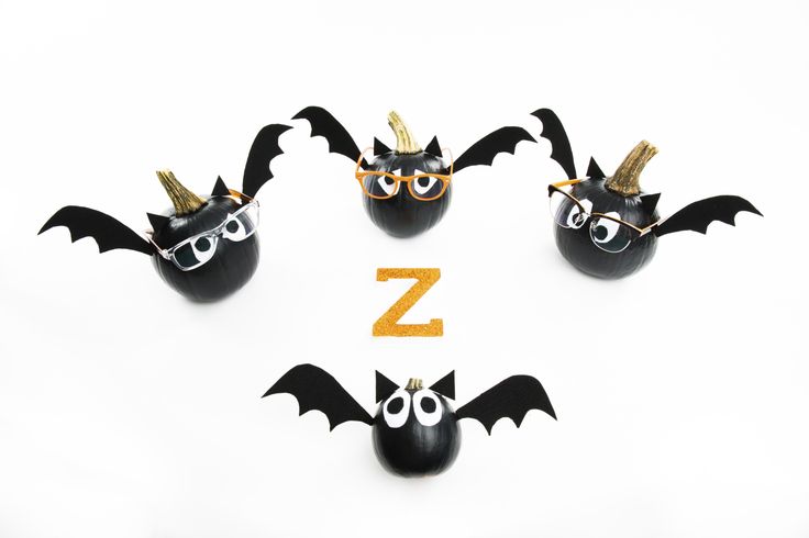 Diy Pumpkin Bats Zenni Optical Diy Pumpkin Bats