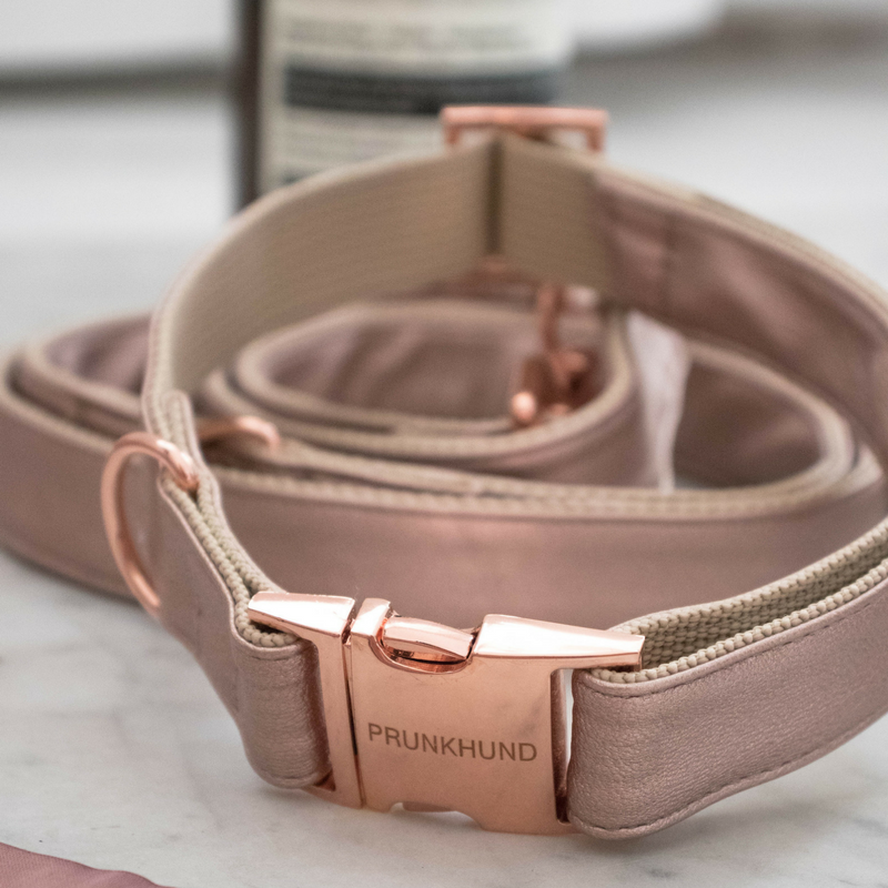 rose-gold-dog-collar