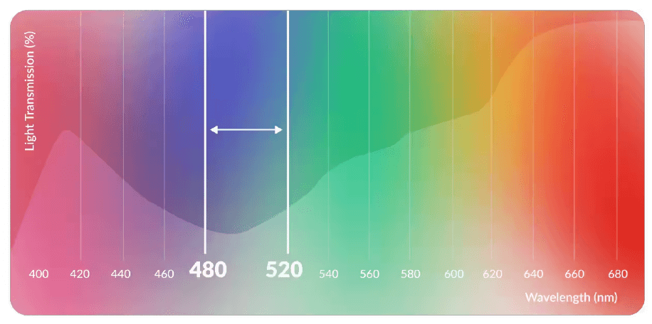 Certain light wavelengths (480-520nm) that are found in sunlight, fluorescent lights, LED screens, and digital devices can trigger migraines and intensify light sensitivity.