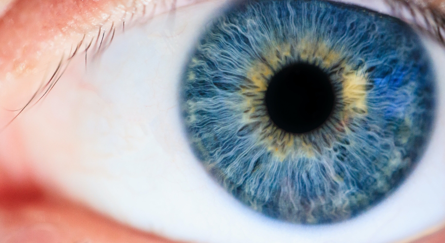 Blue Eyes: Separating Fact from Fiction