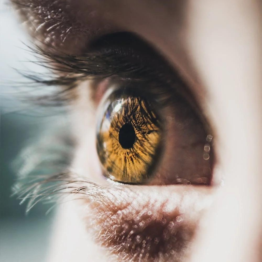 Close-up of an eye with hazel iris and detailed reflection in the cornea.