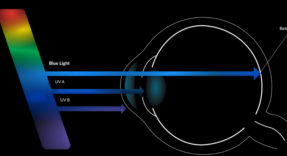 Diagram showing Blue Light, UV A, and UV B entering an eye, with the blue light reaching the retina.
