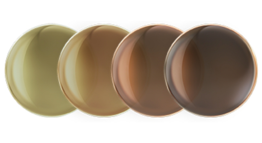 Four gradient-colored round plates ranging from light green to dark brown.