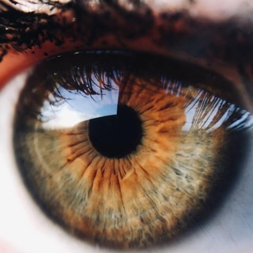 Hazel eyes_850x850 Antoney Blog Featured Image