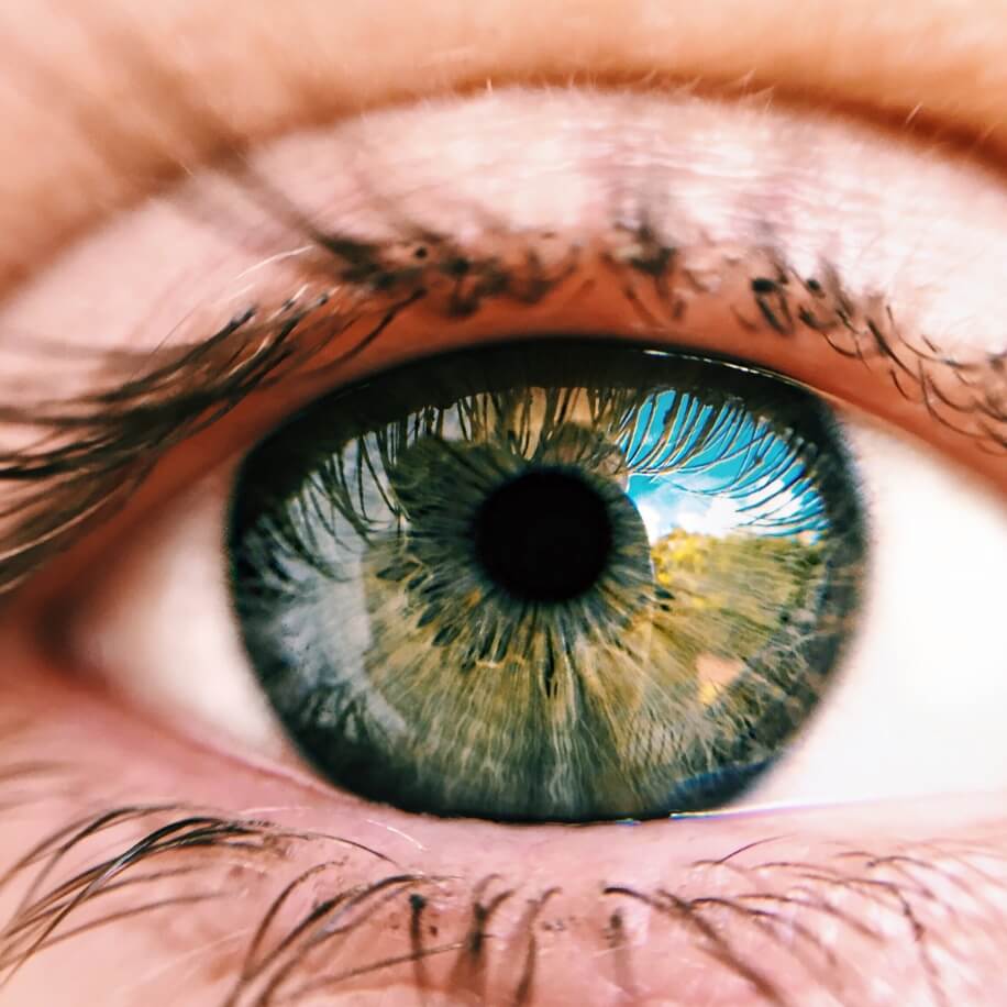 Close-up of a green eye with detailed iris and reflection of a landscape in the pupil.