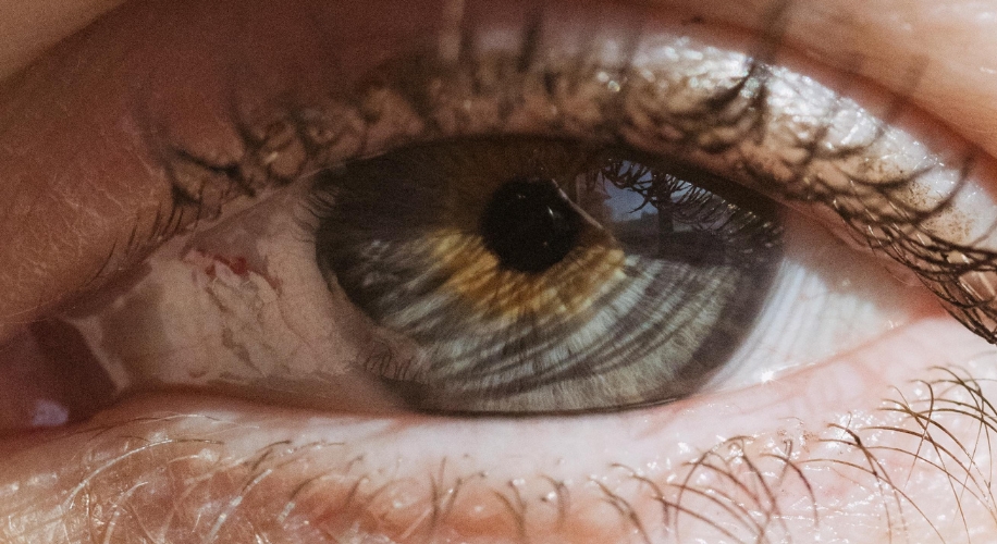 Unraveling the Mystery of Eye Color: A Glimpse into the Biology