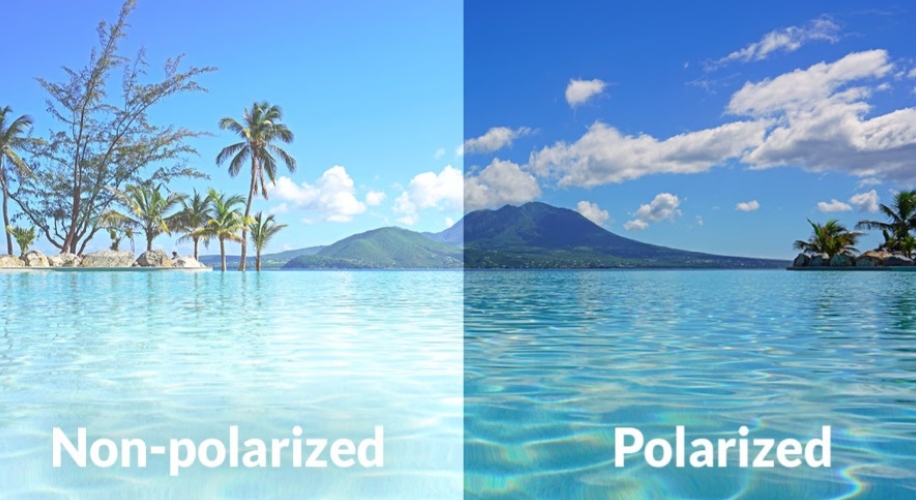 Unlocking Clarity: Understanding Zenni's Polarized and Nonpolarized Glasses