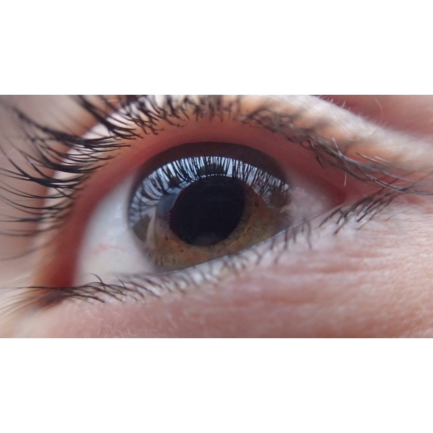 Eye Health Zenni Optical Blog