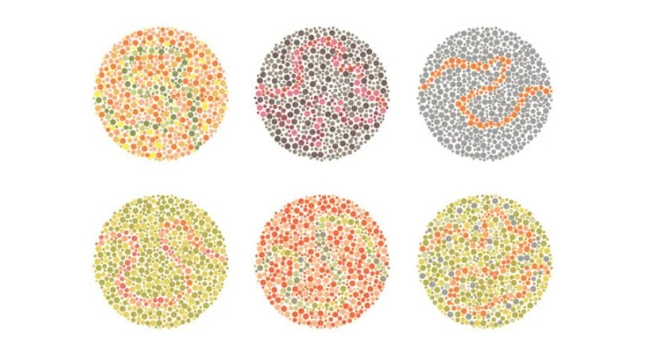 Debunking the Myths of Color Blindness: Separating Fact from Fiction