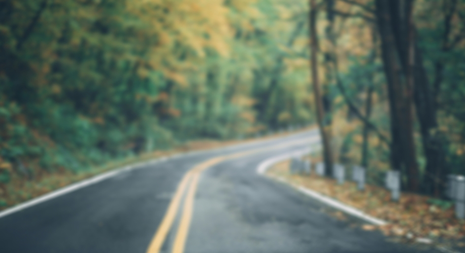 A curved, paved road lined with trees on a foggy day.