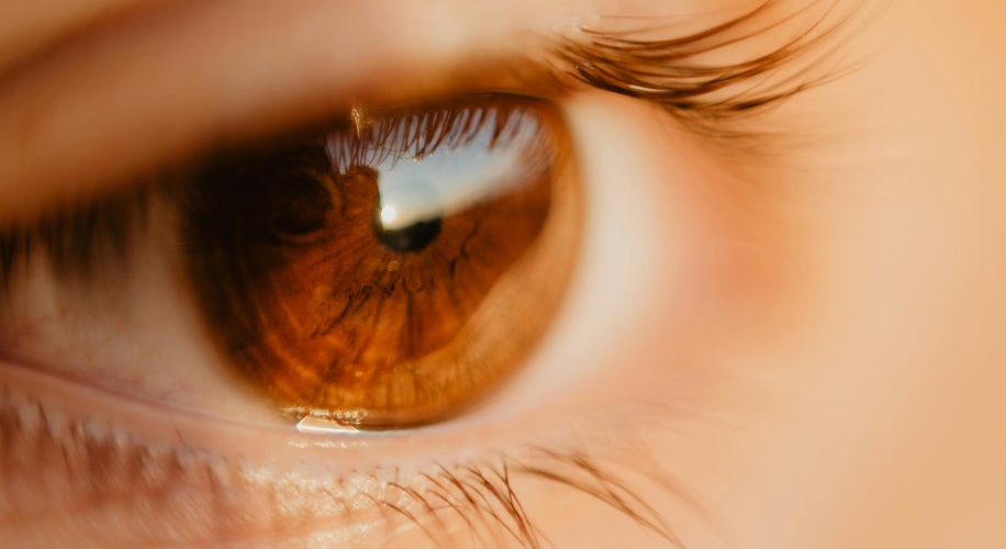 Close-up of a brown eye with detailed reflection on the cornea and long eyelashes.