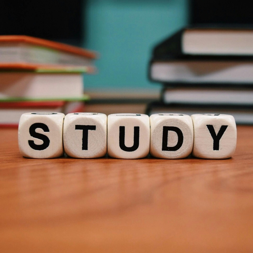 White blocks spell out "STUDY" on a wooden surface.