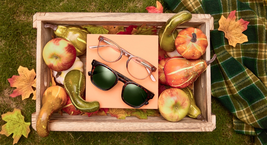 2025-11-Zenni-Blog-GratitudeMonth-125615_1166325-53 2