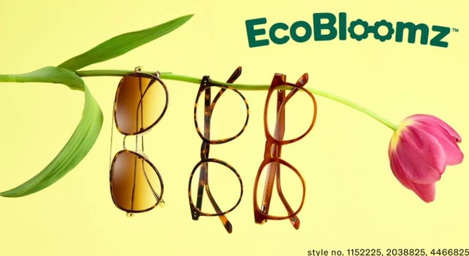 250411-ecobloomz-blog-916×500-v02
